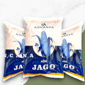 Promo Sepesial  Benih bibit jagung advanta ADV JAGO 1 kg  Barang original 100%