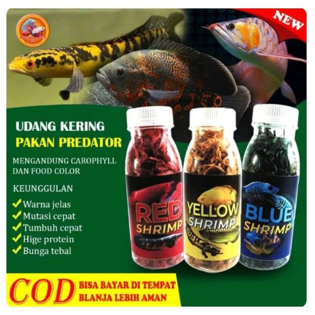 Udang Kering Super/pakan/makanan ikan chana predator