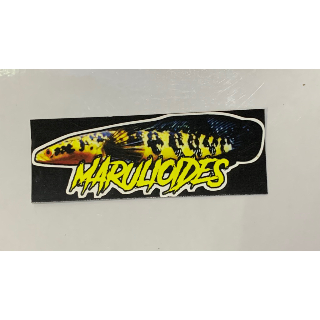 STIKER YS BAR RAPI 65K