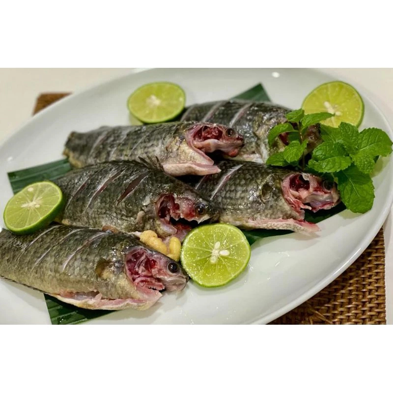 Ikan Betok /Papuyu Konsumsi Jakarta