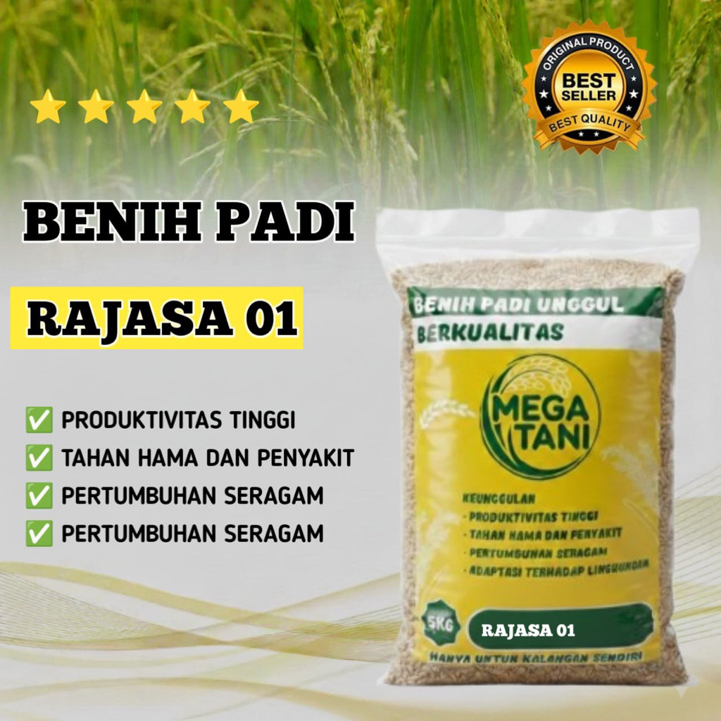 Benih Padi Rajasa 01 Kualitas Original Kemasan 5Kg