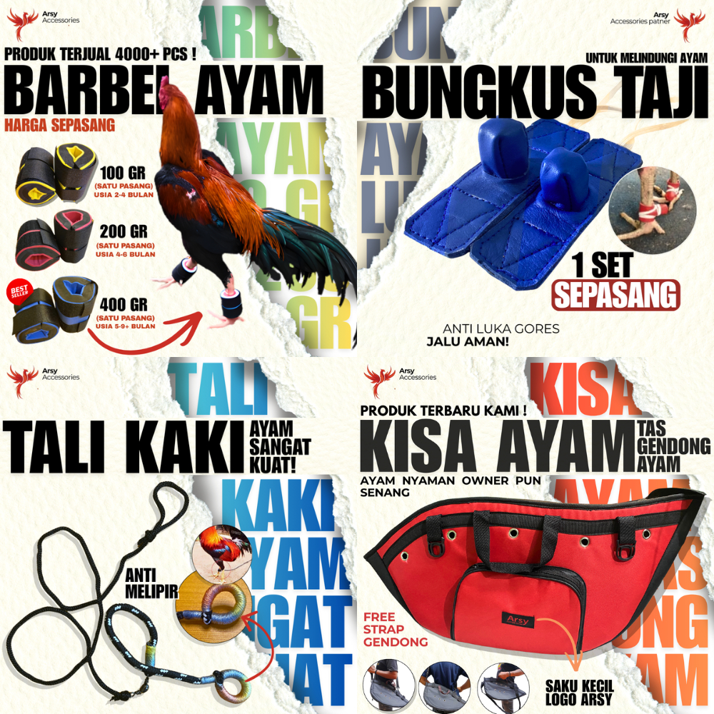 PAKET HEMAT Kiso Ayam Bangkok Barbel Ayam Tali Bungkus Taji Ayam Aduan Murah