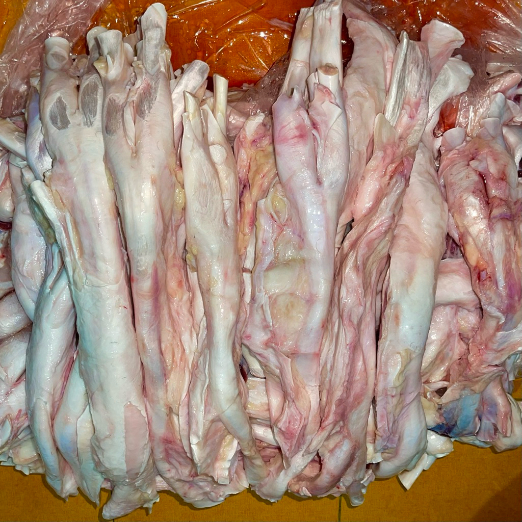 urat tendon sapi