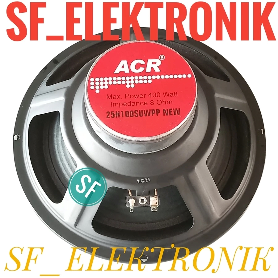 Speaker 10 Inch ACR 25H100 Pro New