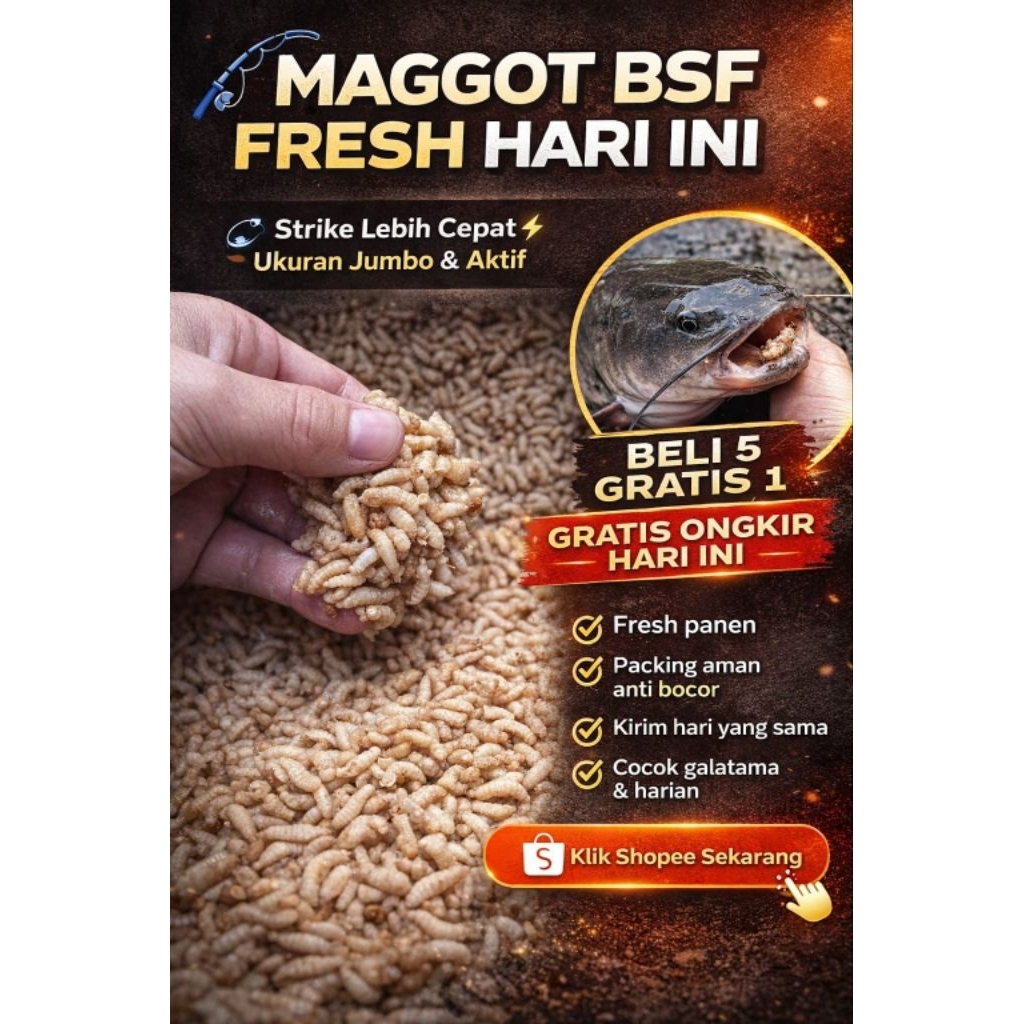 Maggot Hidup BSF Premium untuk Mancing