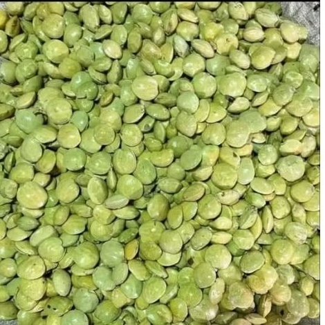 Jengkol muda jengkol lalap jengkol coel 1 kg