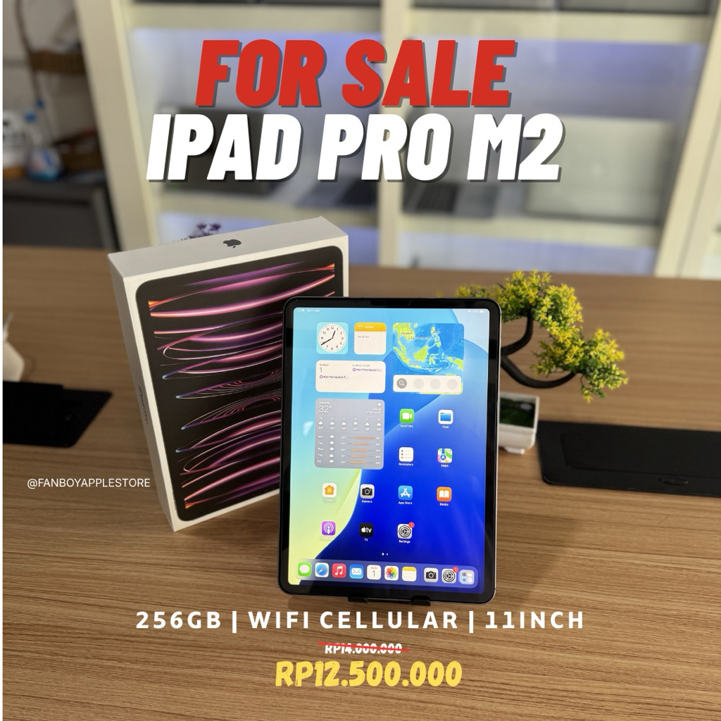 IPad Pro M2 | 256GB | wifi cellular | 11inch | Second Original