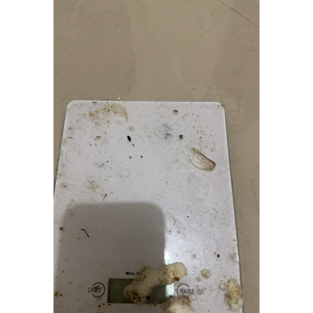 Digital pocket scale