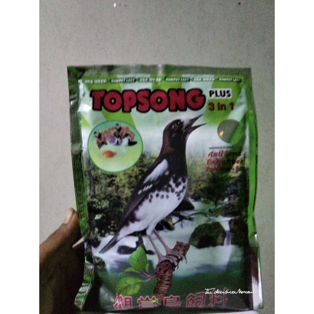 voer topsong rumput laut