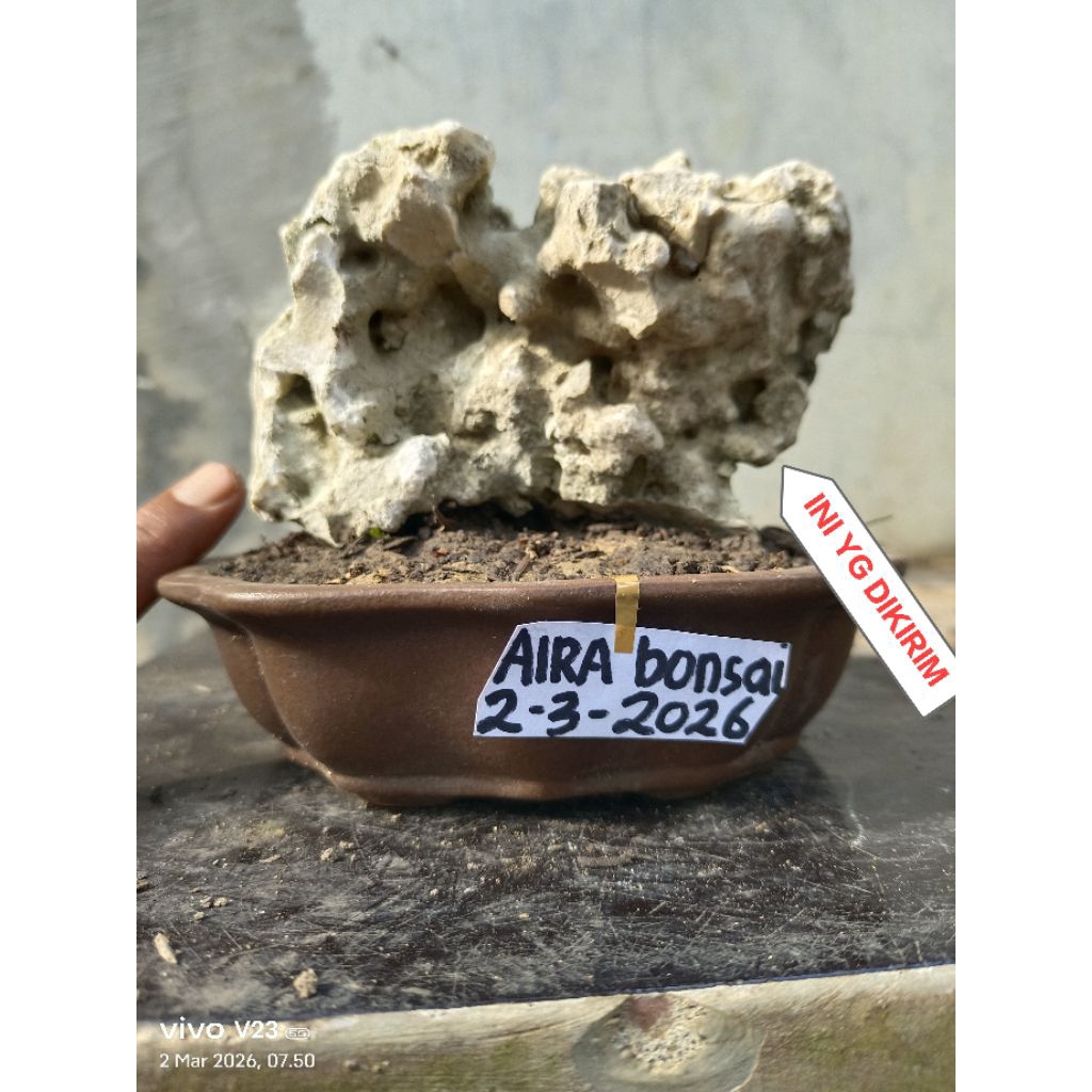 batu karang gunung estetik