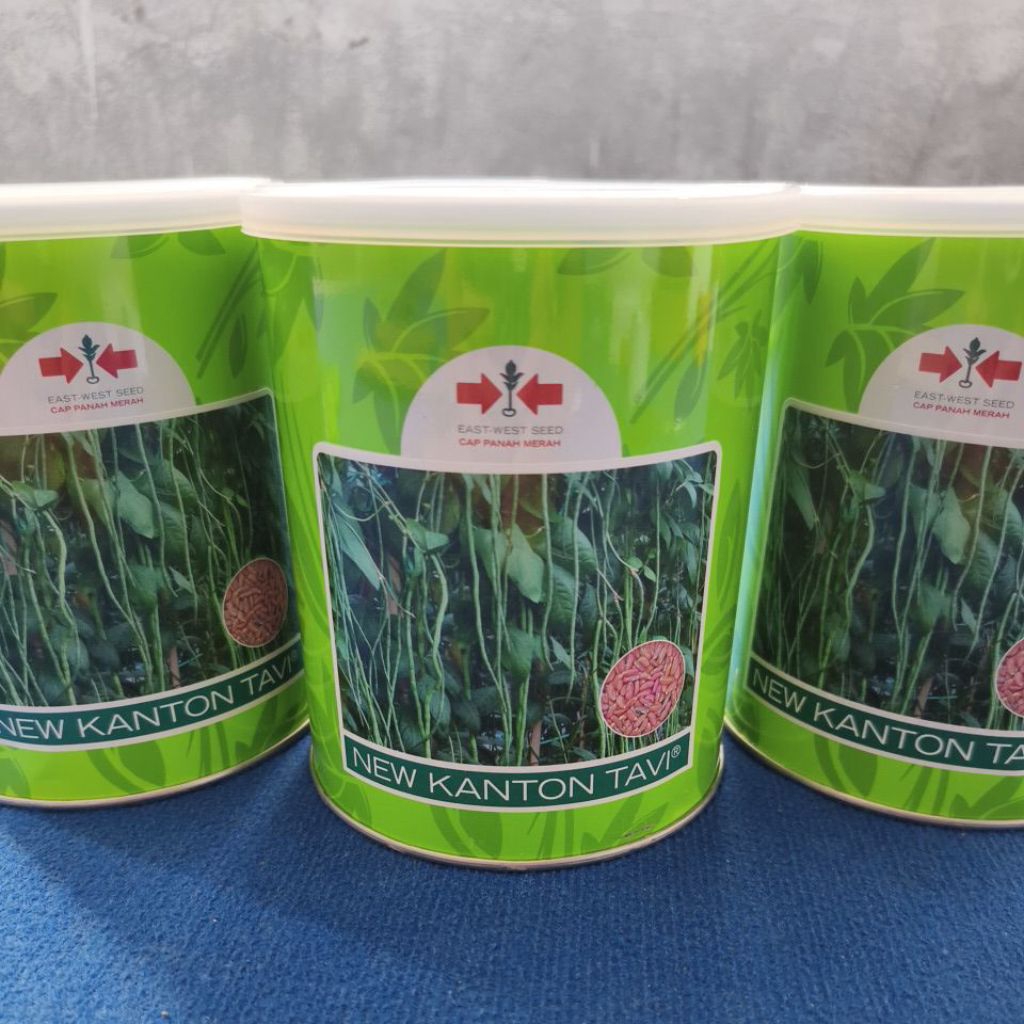Benih Kacang Panjang New Kanton Tavi 500 gr