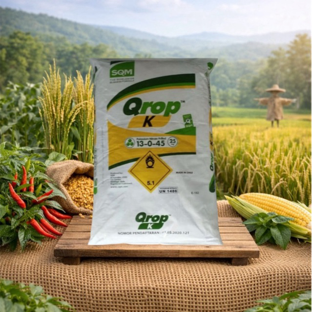 Pupuk KNO3 putih 25 kg kemasan pabrik