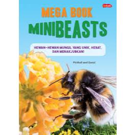 MEGA BOOK - MINIBEASTS