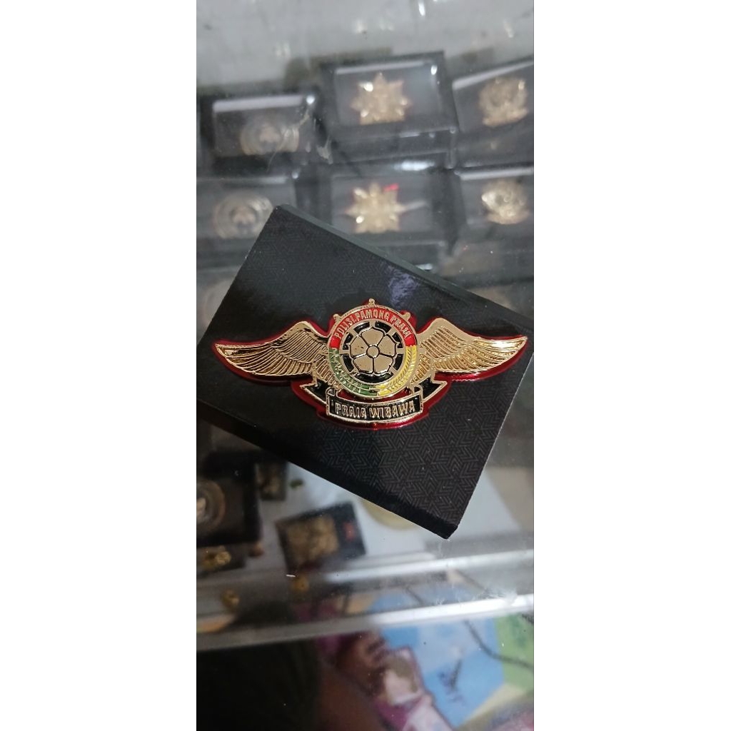 pin praja wibawa