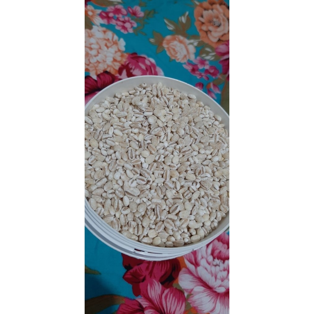 biji barley organik import, pearl barley, jelai, jali-jali, imi, yimi