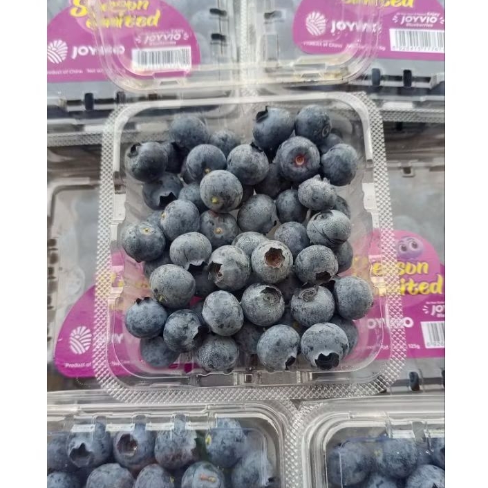 Blueberry Segar 125gr