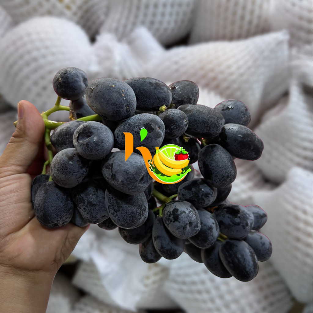 Anggur Hitam Seedless Australia