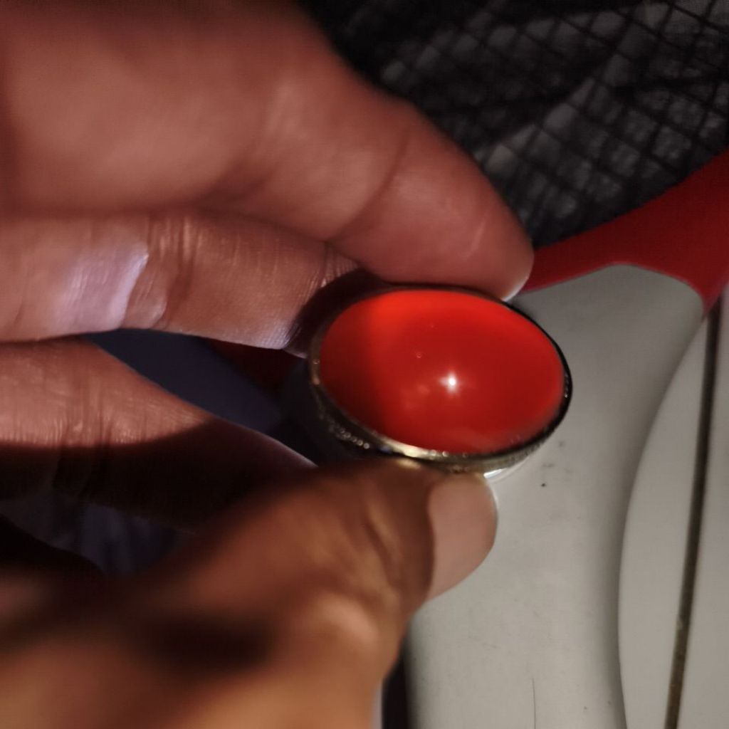 Bacan Obi merah black mamba