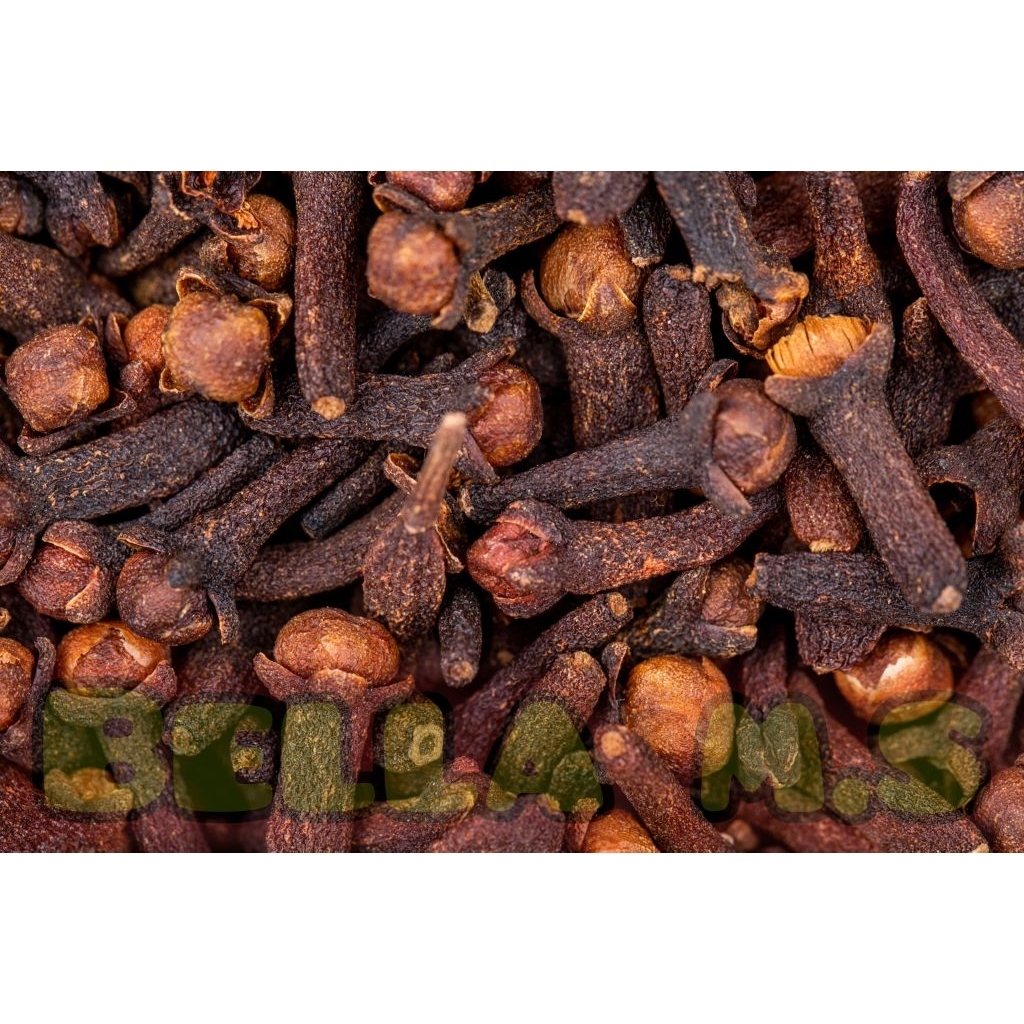 cengkeh kering ori/asli gunung Wilis/100g/250g