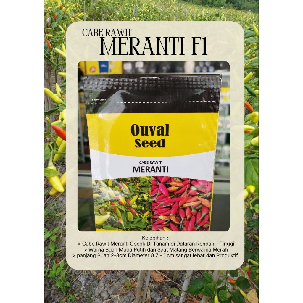 benih cabe rawit unggul meranti ouval seed 10 gram bibit cabe unggul