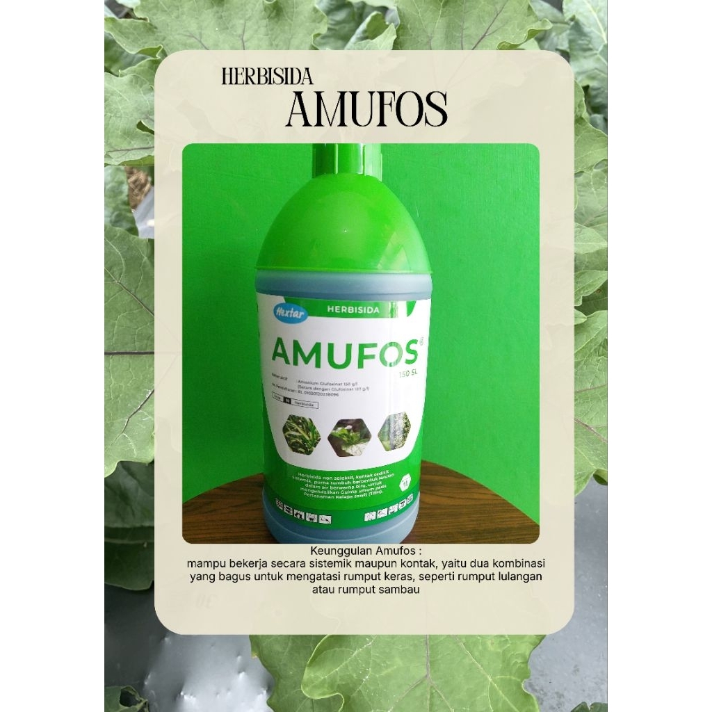 Herbisida Kontan Sistemik Amufos 1 Liter Hextar Basmi Gulma Liar Alang-Alang Exp 2030