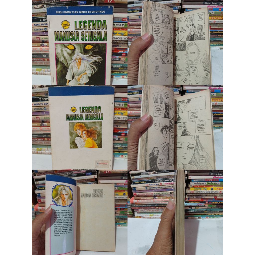 Komik Legenda Manusia Serigala (Chie Watari)