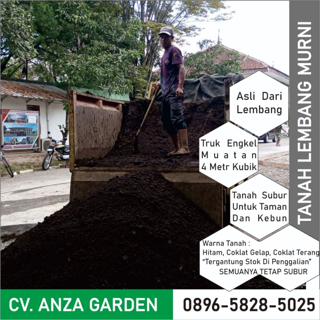 Tanah Lembang ke BEKASI | TANAH SUBUR LEMBANG | Tanah Lembang Truk Engkel 4 Kubik