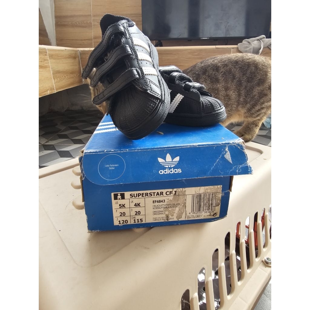 Adidas Superstar sepatu anak