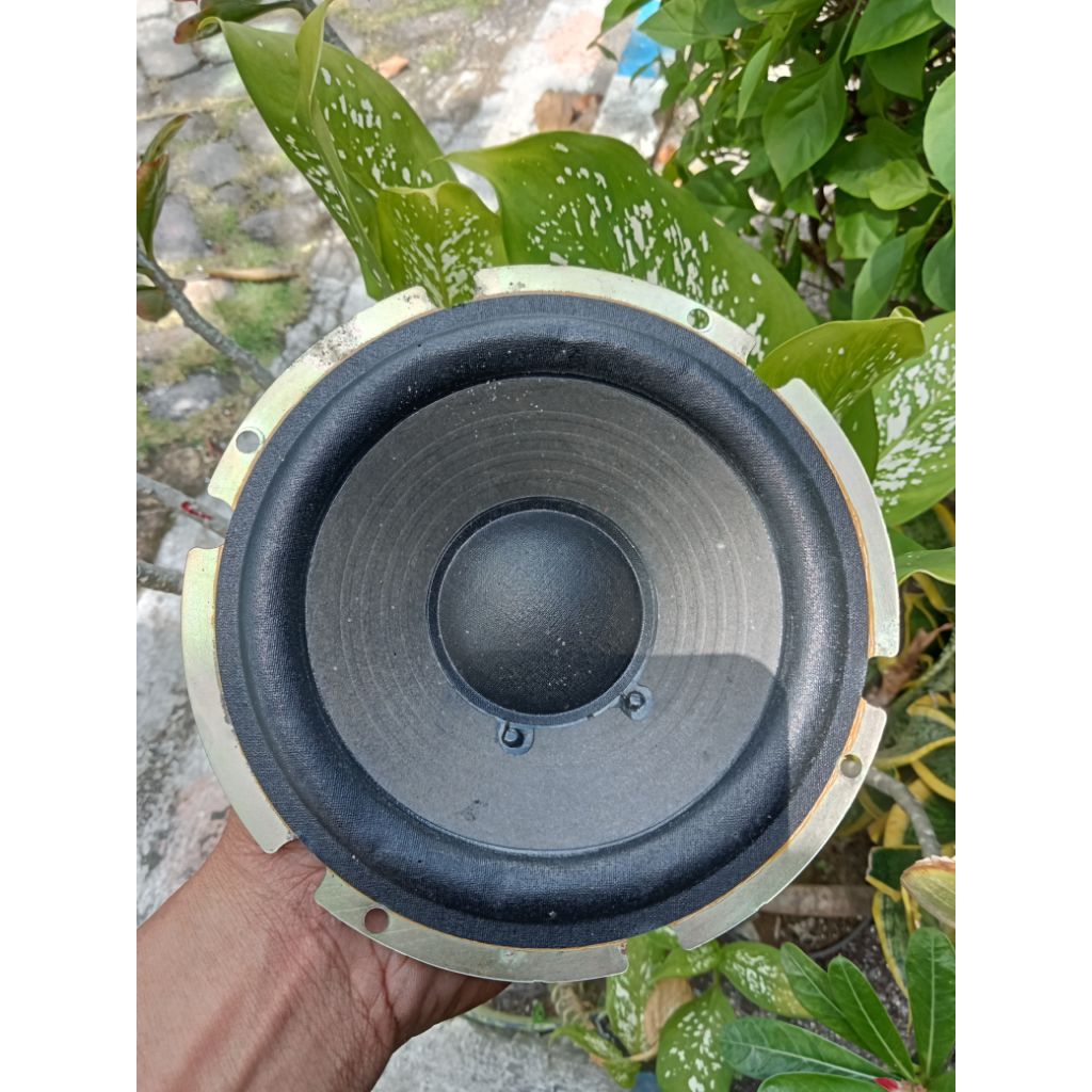 Speaker Sony 5,5 inch/Speaker Woofer/Harga Satuan