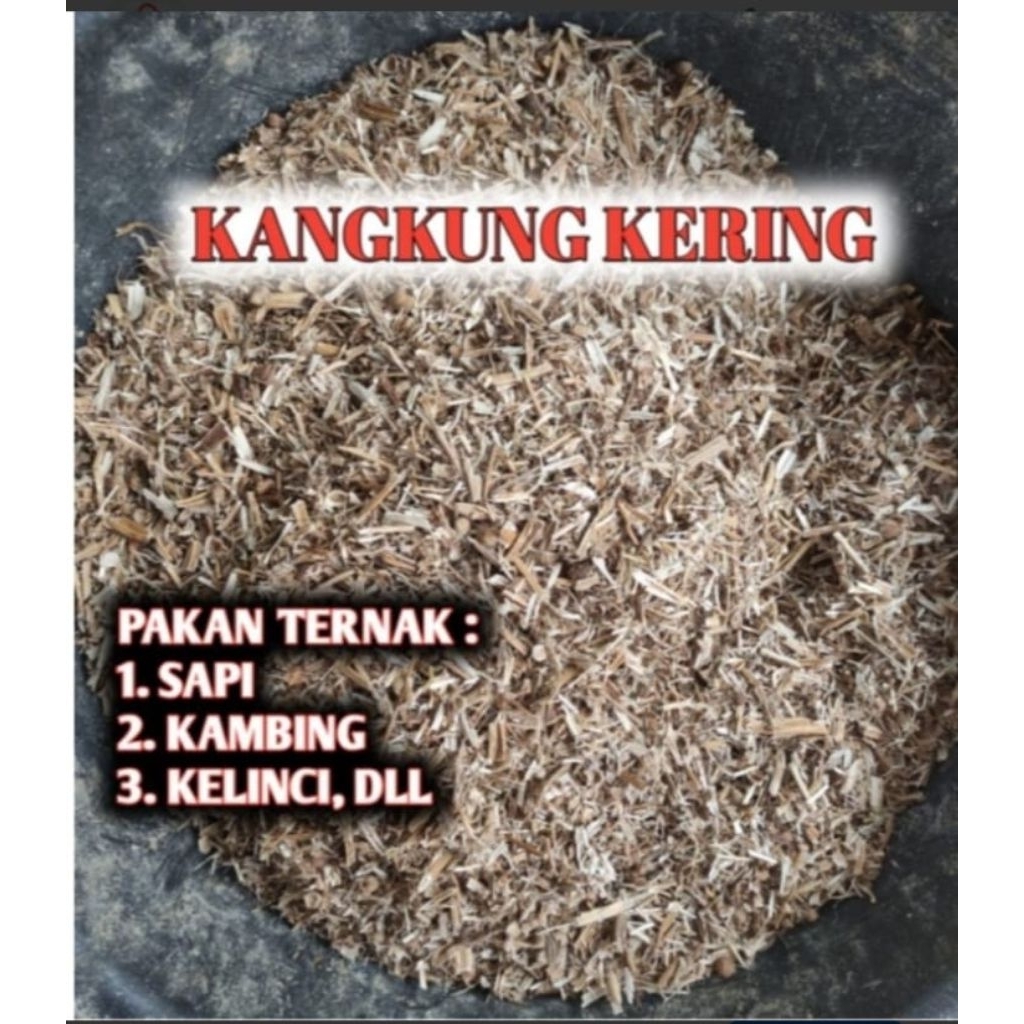 kangkung kering