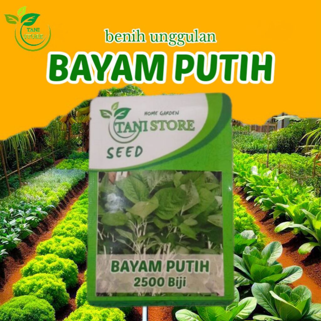 Benih Bibit Bayam Batang Putih Bayam putih Unggul ±2500 Butir