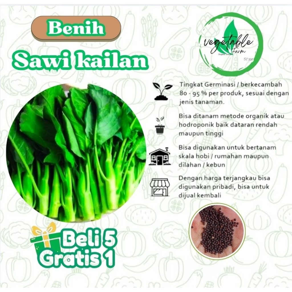 Benih Sawi Kailan - Bibit Tanaman Sayur Sayuran kailan