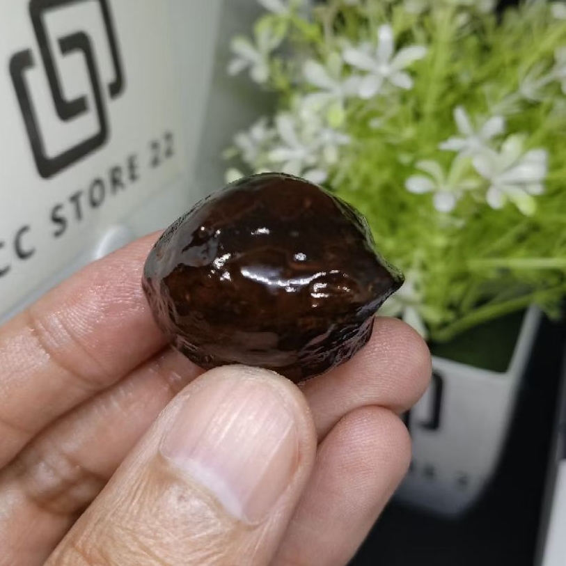 Muncang Adu MD Junior kode A