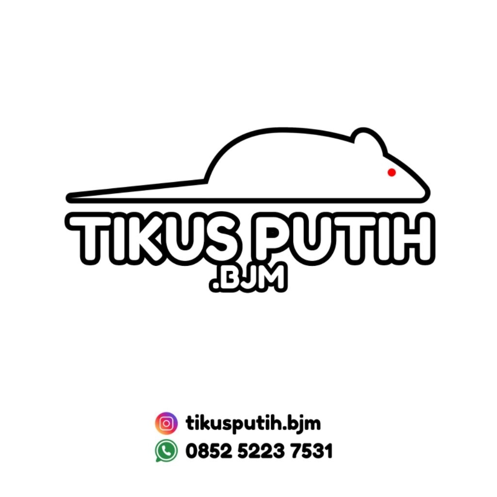 Large - Paket Indukan (1 Jantan + 4 Betina) Tikus Putih / Mencit