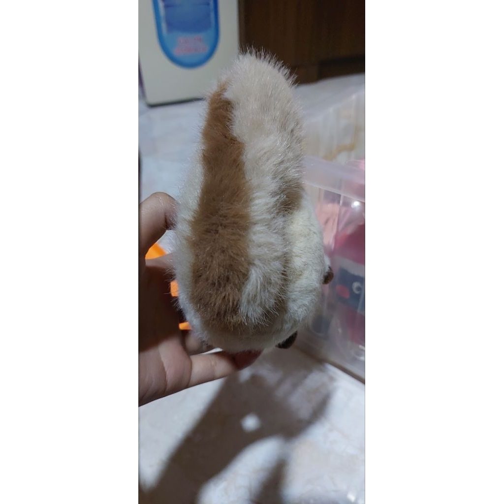 Gantungan kunci tupai boneka