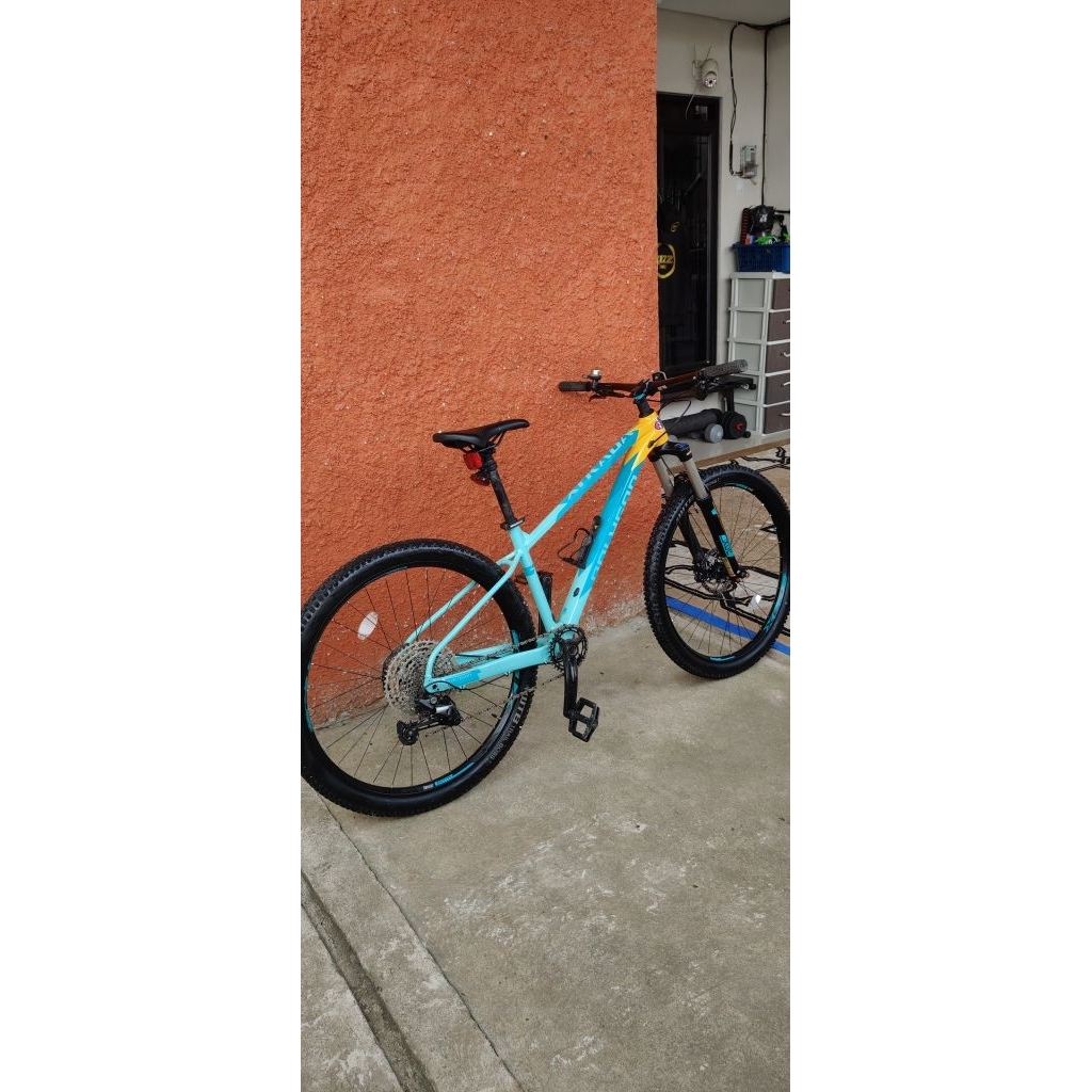 Polygon Xtrada 7 2021