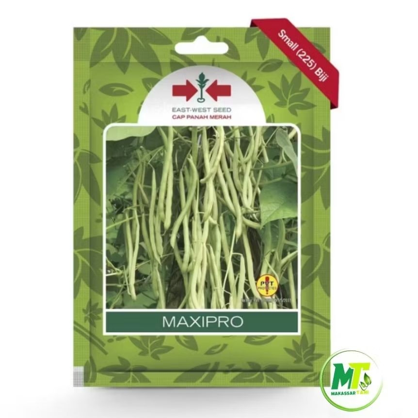 Benih Buncis Buncis maxipro Panah Merah isi 225 Biji