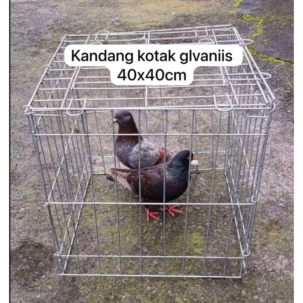 Kandang ayam kotak murah besi galvanis dilipat size m 40x40 dan 50x50cm kandang ayam kate/ayam jago