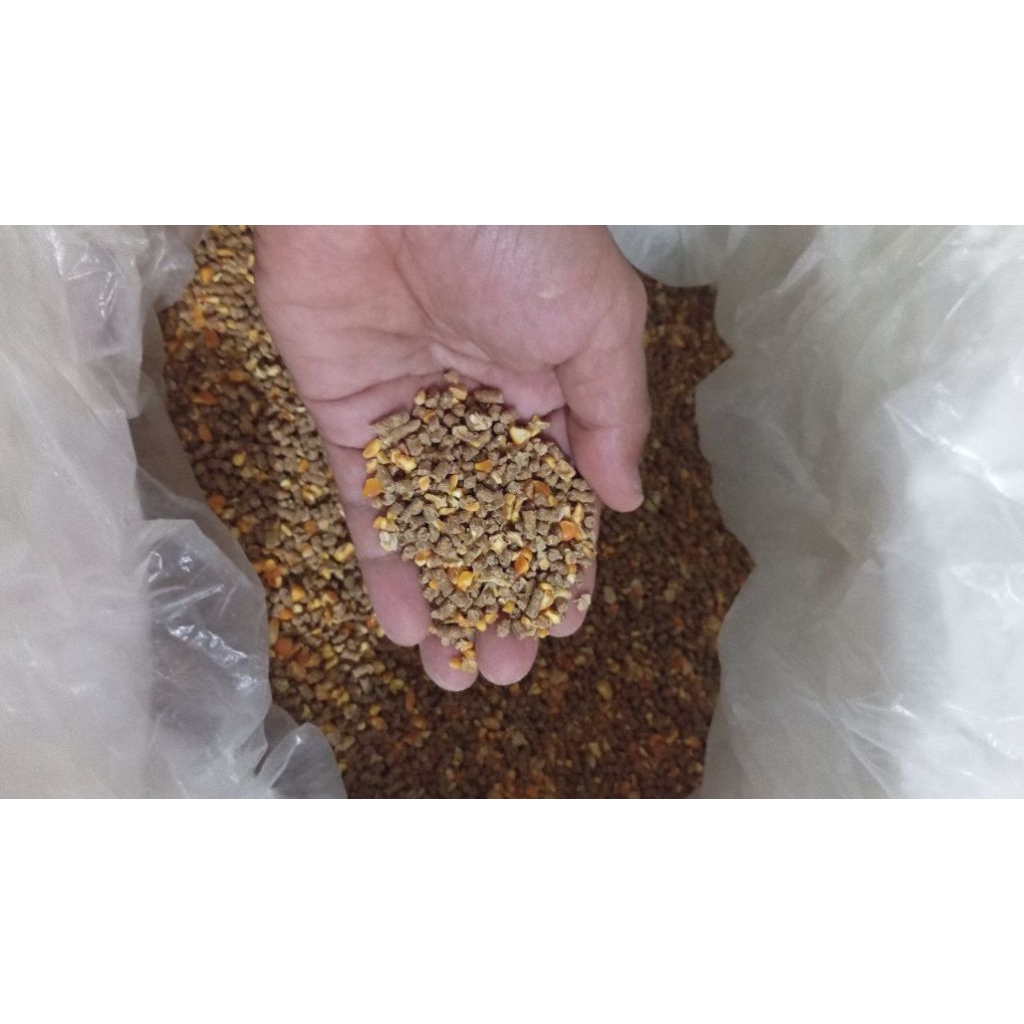 Pakan ayam petelur L83-1 harga ecer per kg