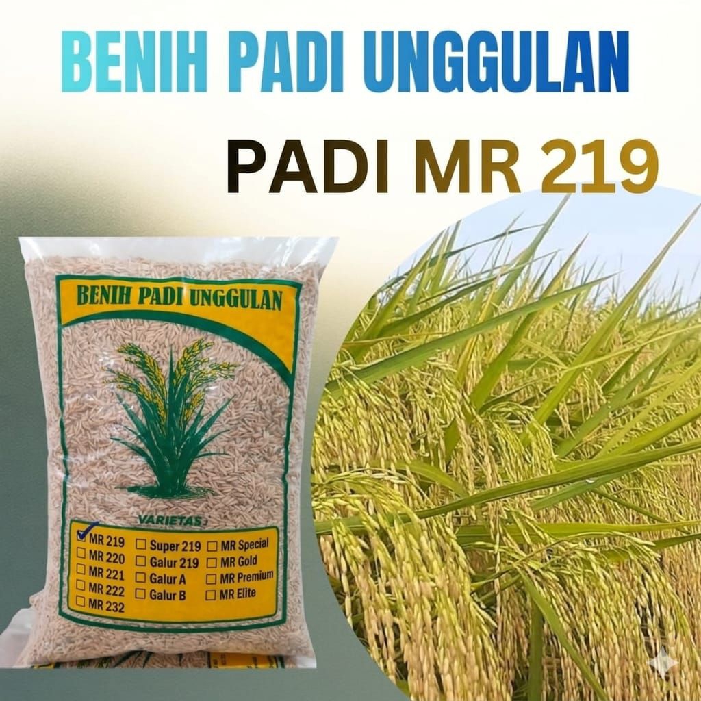 benih padi mr 219 benih padi unggul mr 219 kemasan 5kg