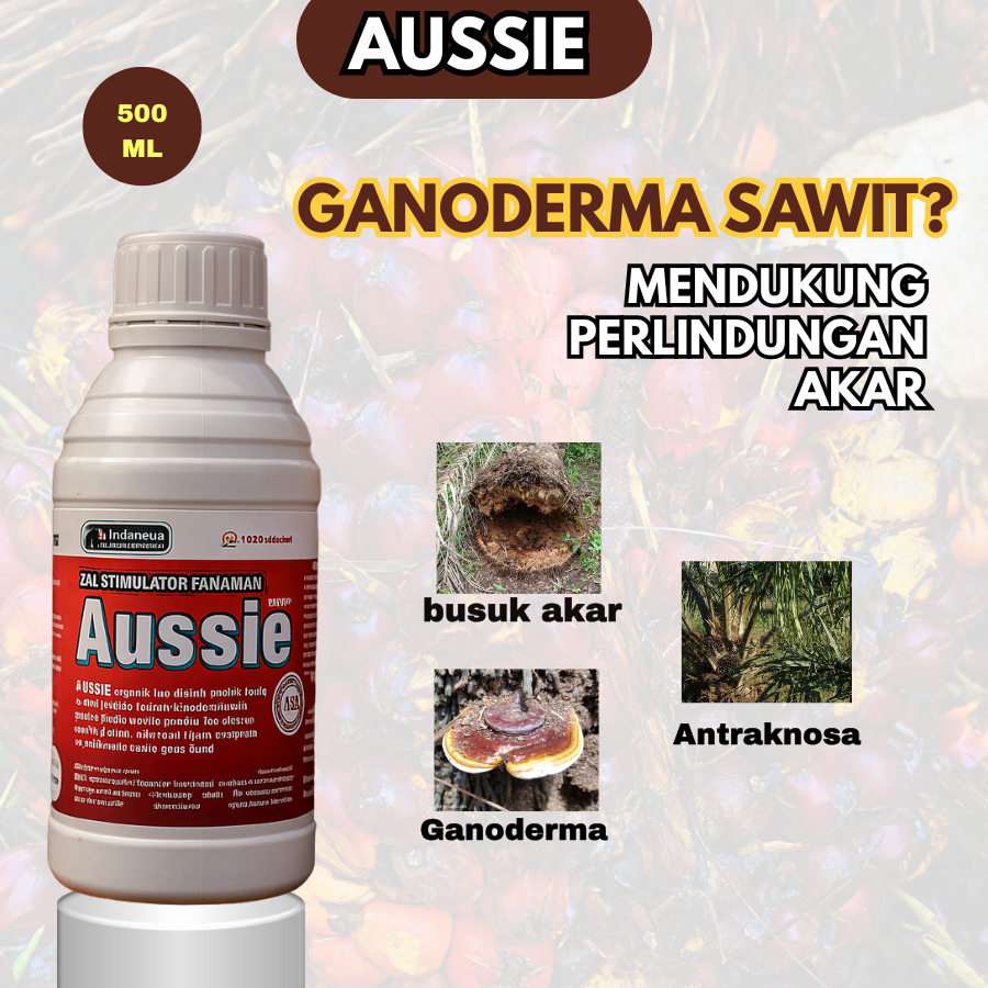AUSSIE Obat Ganoderma Sawit | Fungisida Busuk Akar Busuk Batang Penguat Akar Tanaman