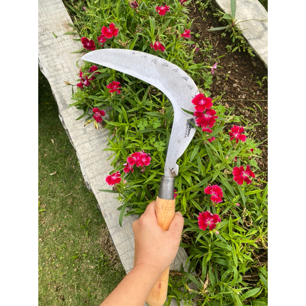 Zico Stored Arit Rumput Dan Padi Baja Isen Sudah Diasah Asli Dari Wonosobo