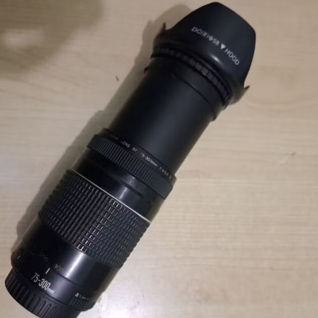 Canon Lens 75 - 300mm
