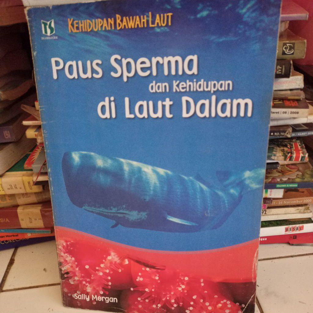 buku kehidupan bawah laut edisi paus sperma