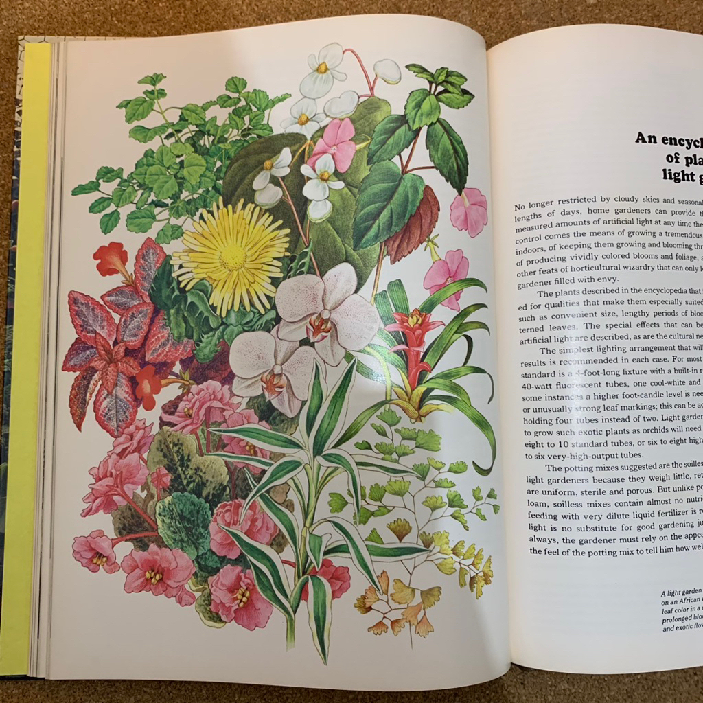 The time life encyclopedia of gardening | Gardening under lights
