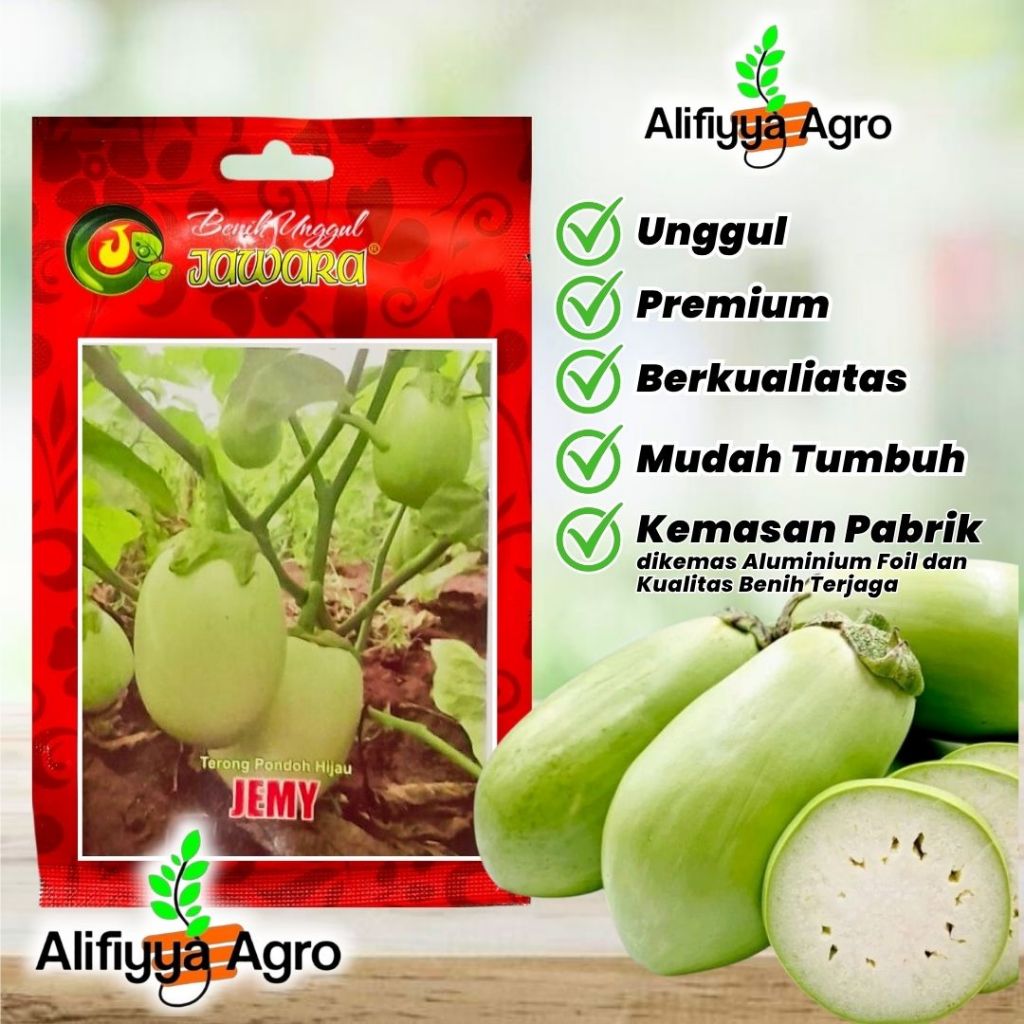 Benih Terong Pondoh Hijau / Terong Apel / JEMY Jawara
