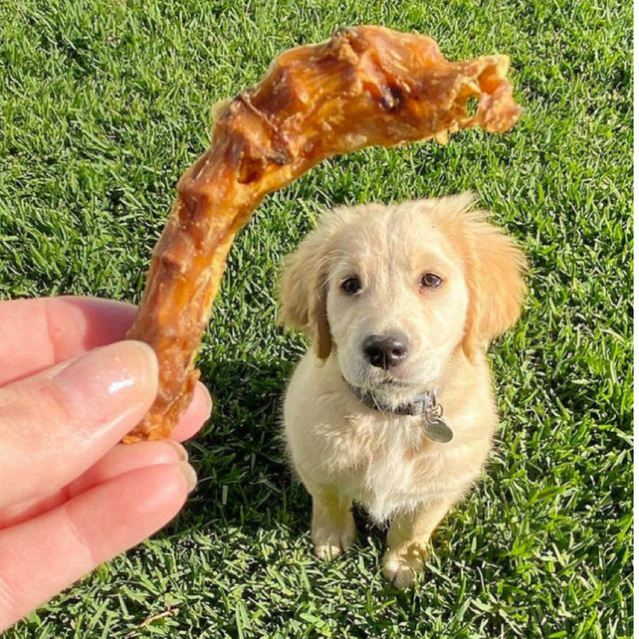 CEMILAN ANJING LEHER AYAM KERING / DEHYDRATED AIR-DRIED DOG SNACK CHICKEN NECK / NATURAL DOG TREATS