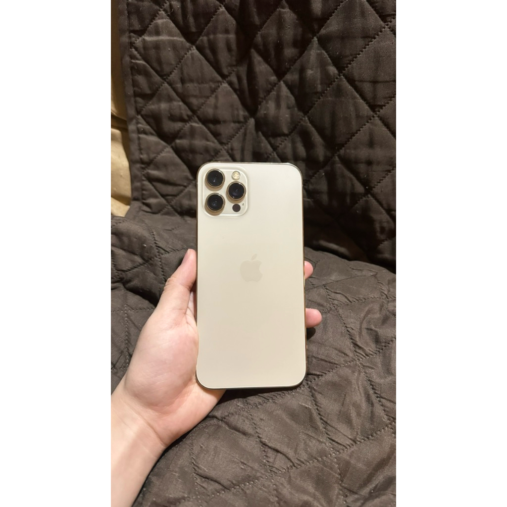 iphone 12 pro max 256 gold
