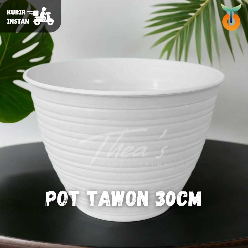 POT TAWON 25CM PLASTIK PUTIH (SUKULEN, KAKTUS, BUNGA TANAMAN LAINNYA) | BISA PENGIRIMAN INSTANT | FR