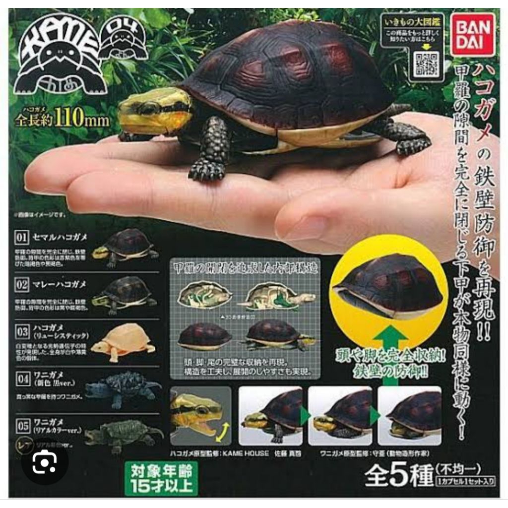 Bandai Gashapon Capsule Turtle 04 (2 pcs)